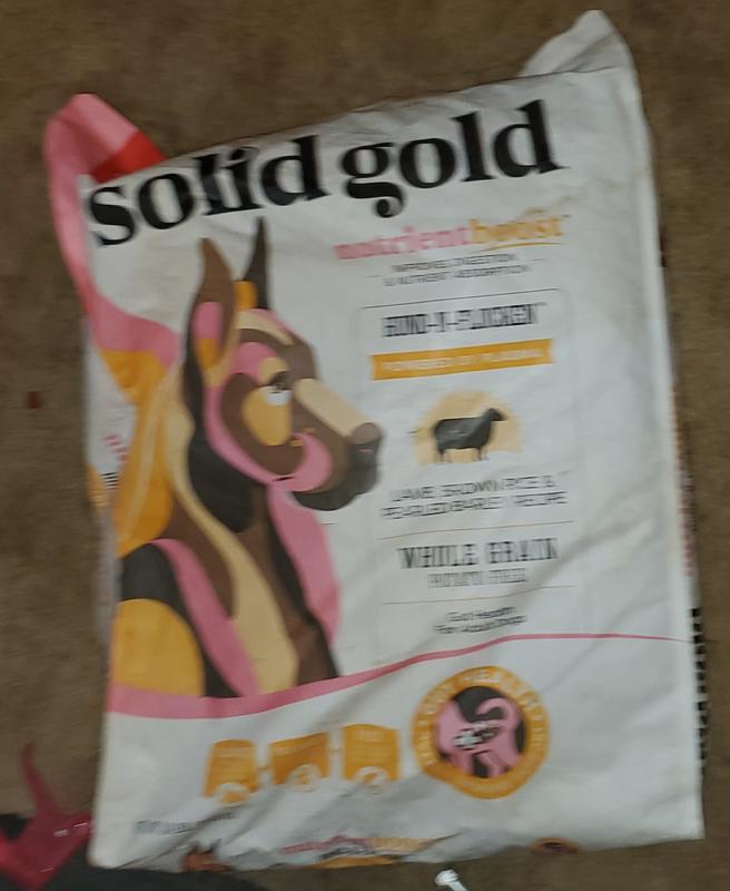 Solid gold hund n flocken review new arrivals