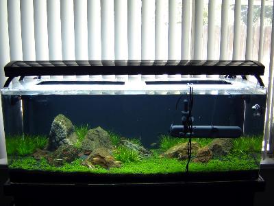 petsmart uv sterilizer