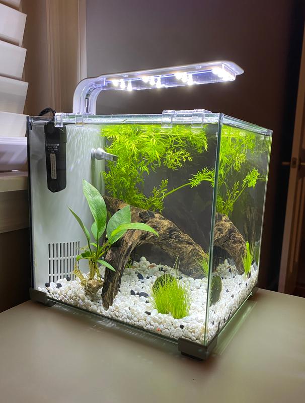 Top Fin Gallon Glass Aquarium! | atelier-yuwa.ciao.jp