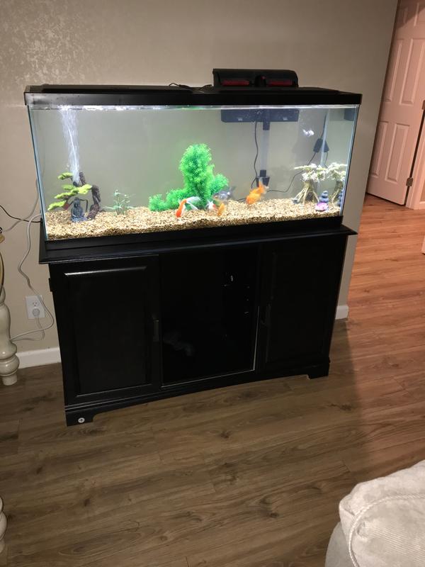 fish tank stand petsmart