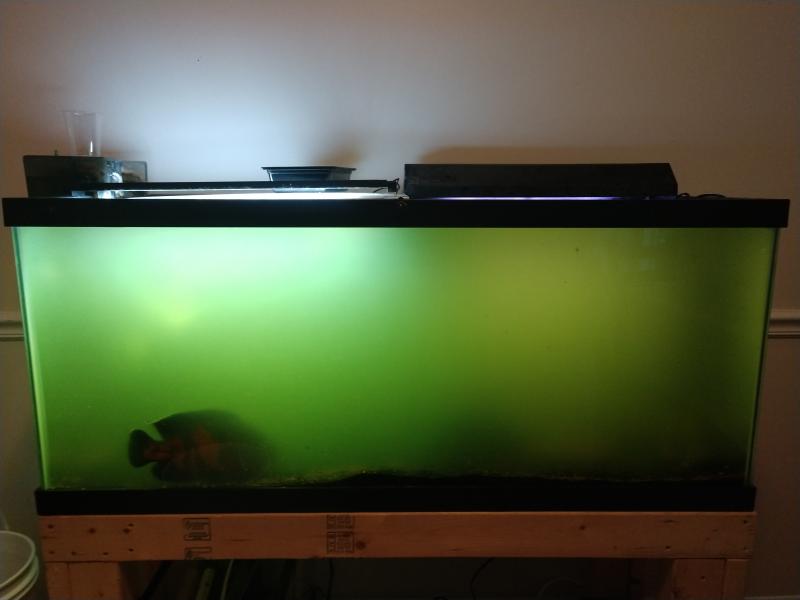 petsmart uv sterilizer