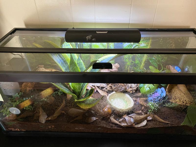 aquarium glass top