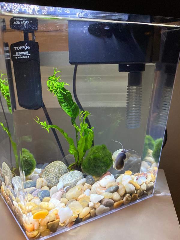 Top Fin Diamond Aquarium 1 Gallon