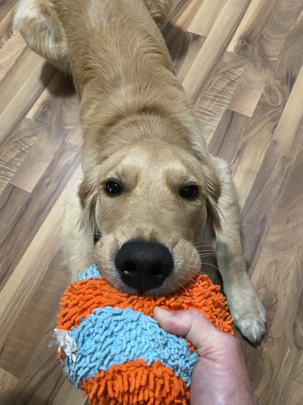 Chuckit indoor ball deals