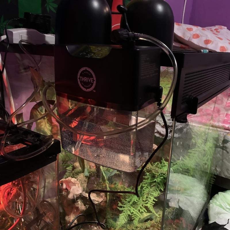 Thrive Misting Machine Reptile Humidity Temperature Control Petsmart