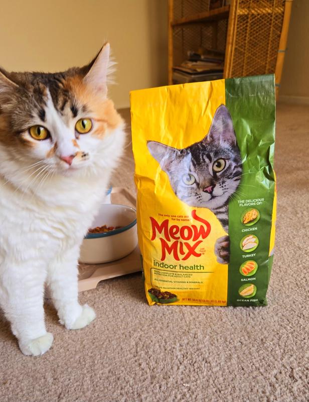 Meow Mix Indoor Dry Cat Food Adult Chicken Turkey Salmon Ocean Fish