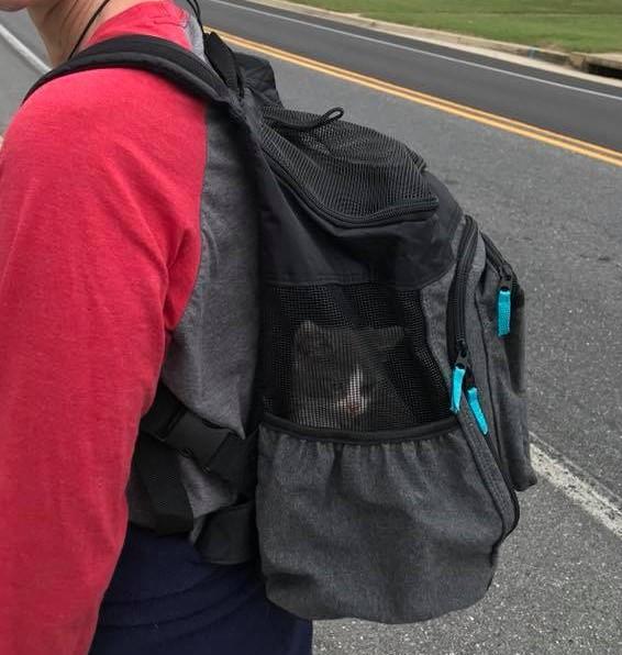 top paw backpack carrier