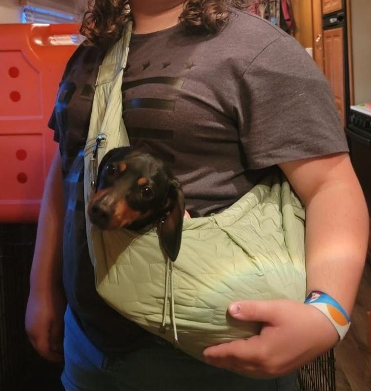 Top Paw Packable Sling Pet Carrier