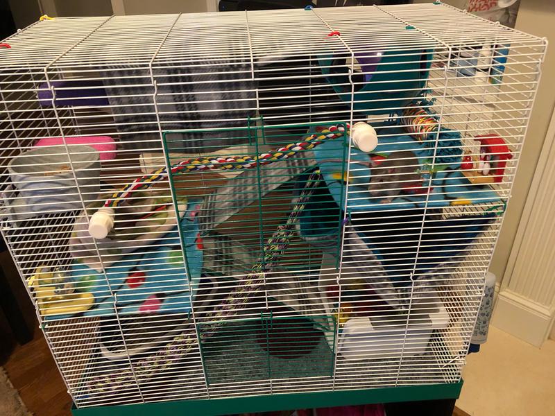 3 storey rat cage