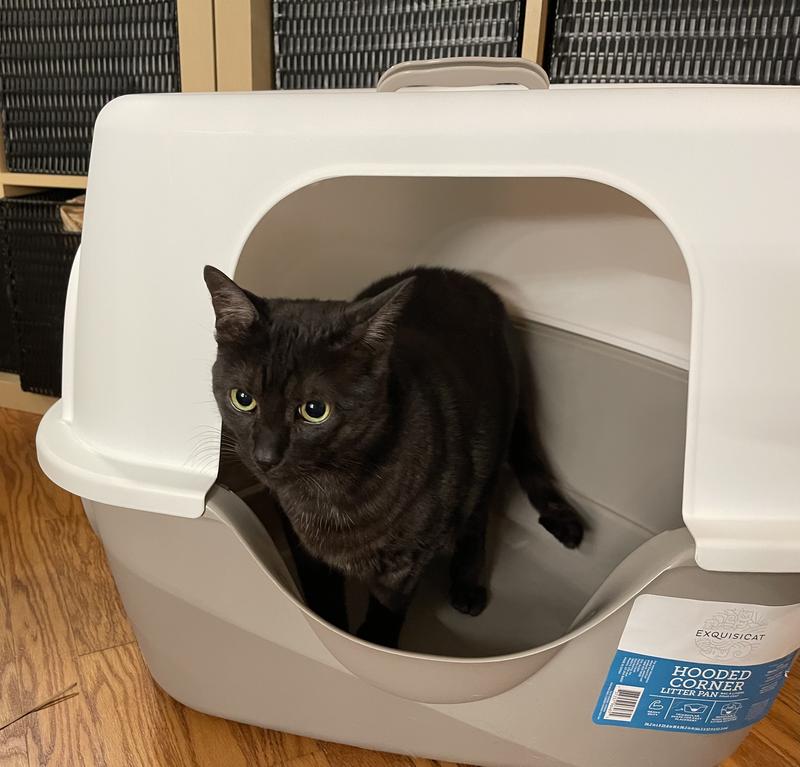 ExquisiCat Hooded Corner Litter Box