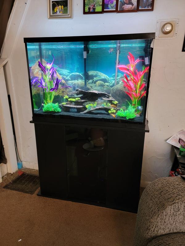 45 gallon aquarium hotsell