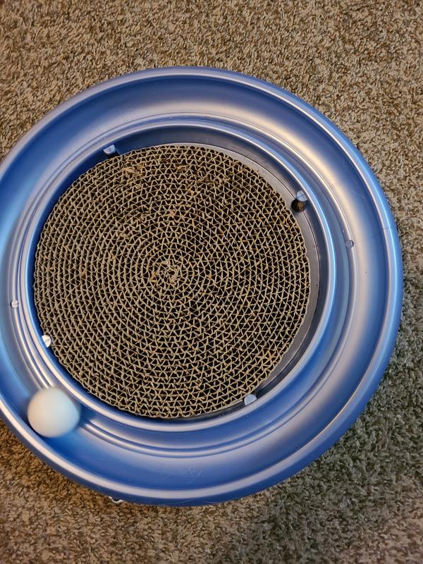Turbo scratcher petsmart sales
