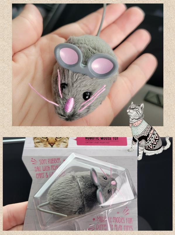 Petsmart remote control mouse sales
