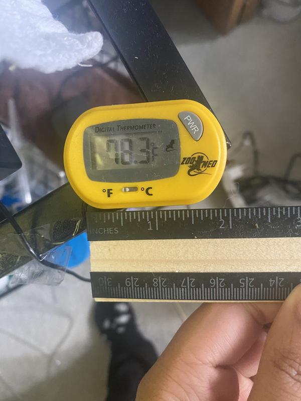 Zoo Med Reptile Terrarium Digital Thermometer