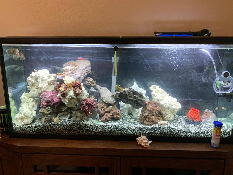 petsmart 5.5 gallon tank