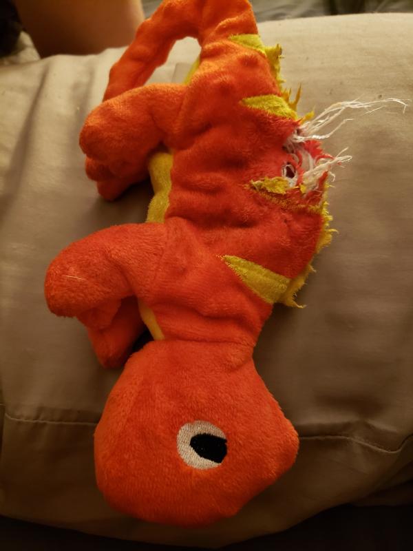 top paw tuff ballistic toy