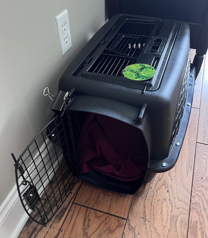 Petmate 2 door kennel petsmart best sale