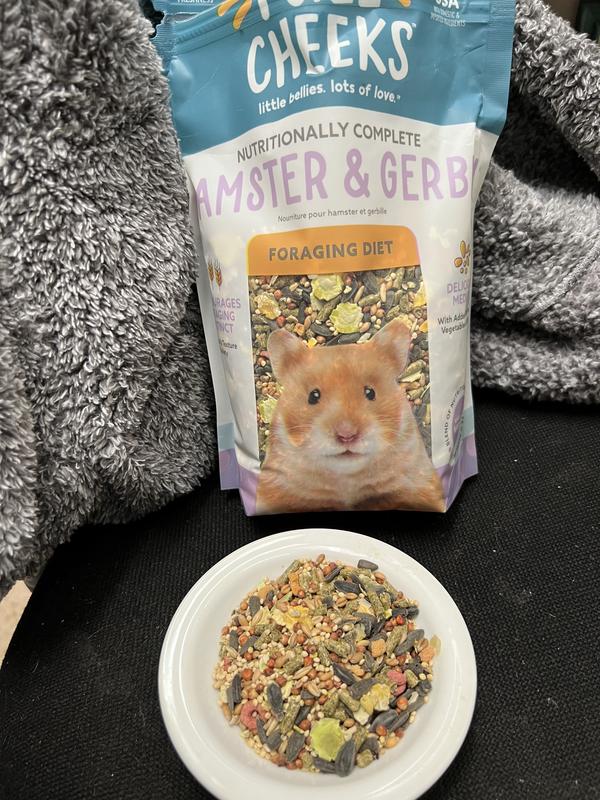 Healthiest hamster food best sale