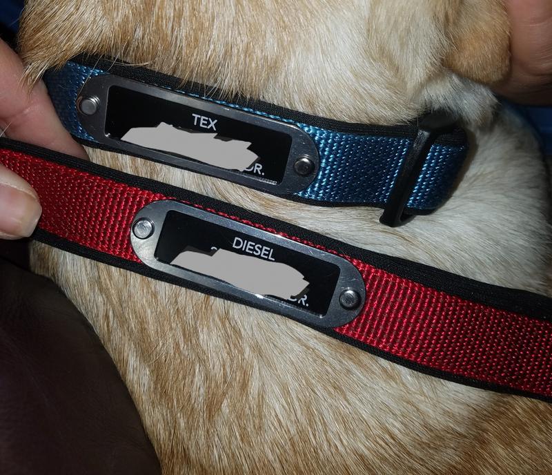 dog id collars