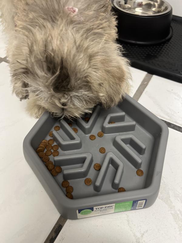 Maze dog bowl petsmart best sale