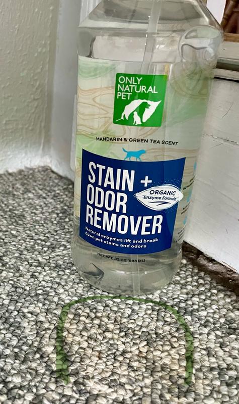 Only natural pet stain and odor remover sale