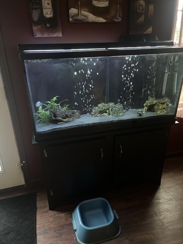 Petsmart 60 gallon fish tank best sale