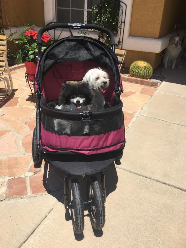 pet gear no zip double dog stroller