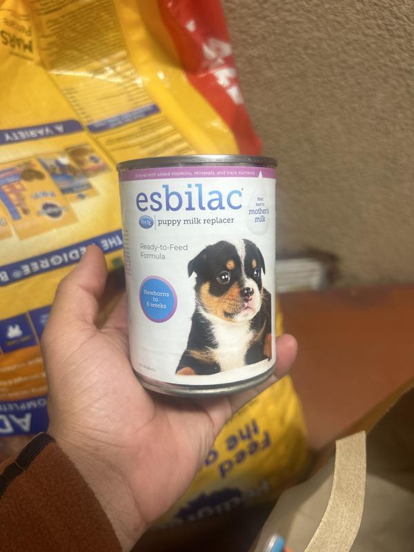 Puppy milk replacer petsmart best sale