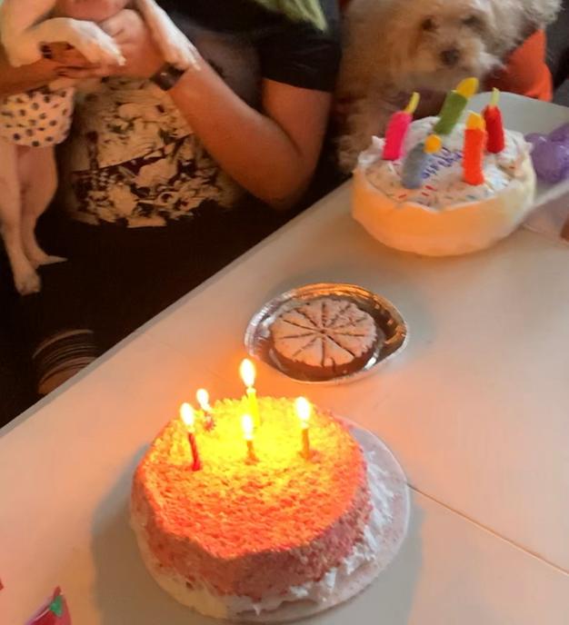 pup pie birthday cake