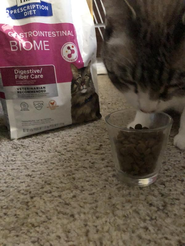 Hills gastrointestinal biome cat best sale