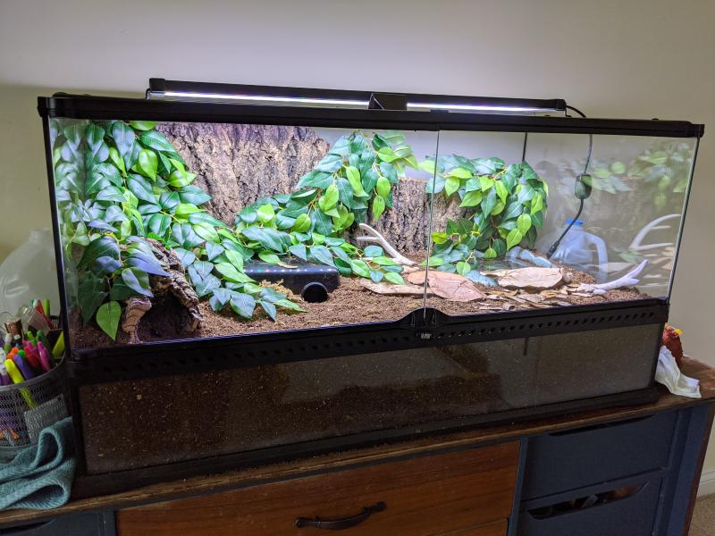 Exo Terra Natural Terrarium Reptile Habitat Reptile Terrariums Petsmart