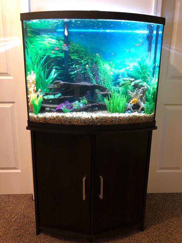 36 gallon bow front aquarium stand