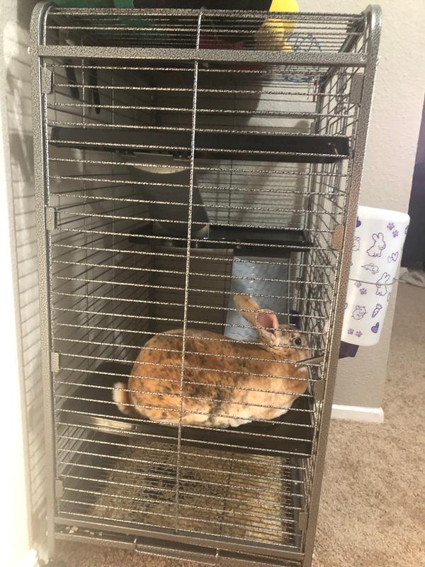 ware indoor 4 level hutch