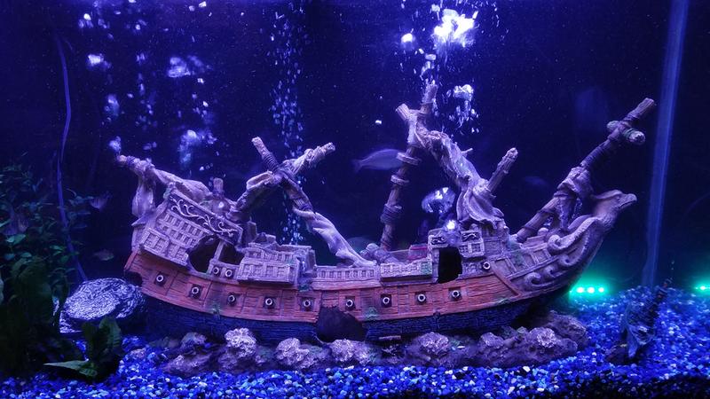 top fin ship aquarium ornament