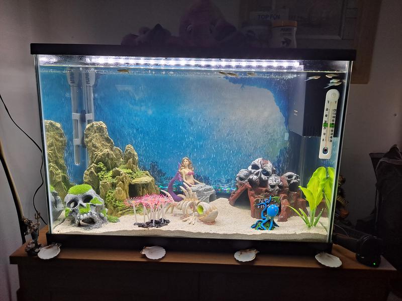 Led bubble wall aquarium best sale