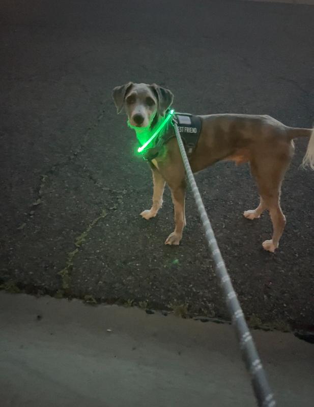 Nite Ize NiteHowl LED Rechargeable Necklace