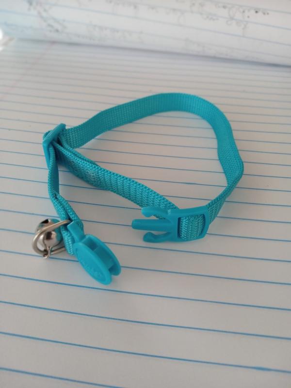 Great Choice Breakaway Cat Collar