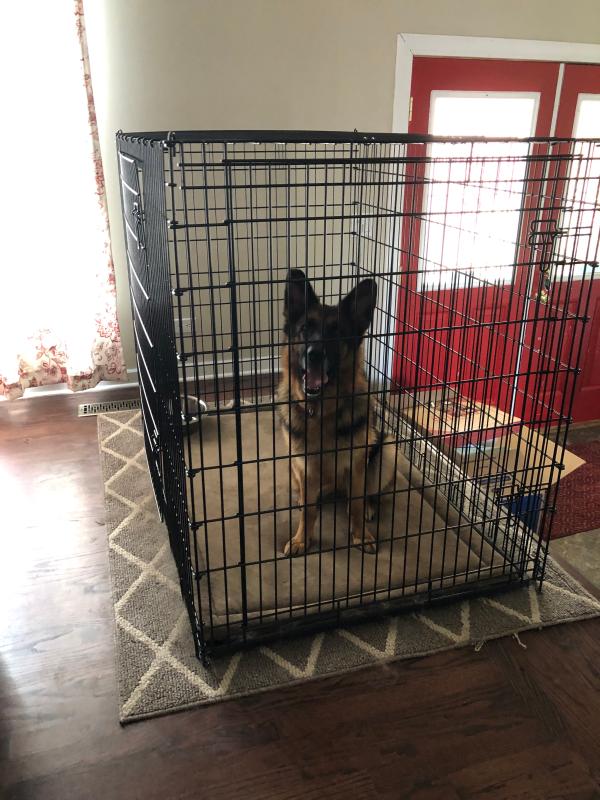 joining 2 dog crates together
