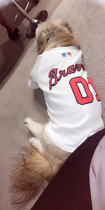 atlanta braves pet jersey