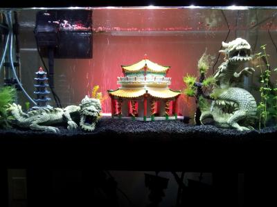 Top Fin Balinese Dragon Airstone Aquarium Ornament Fish Ornaments Petsmart