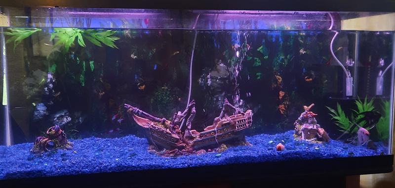 Top Fin Ship With Led Light Bubbler Aquarium Ornament Fish Ornaments Petsmart