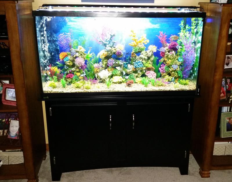 petsmart 60 gallon fish tank