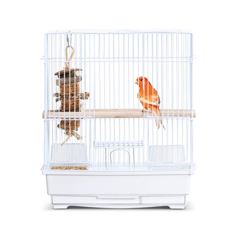 Petsmart budgie cages best sale