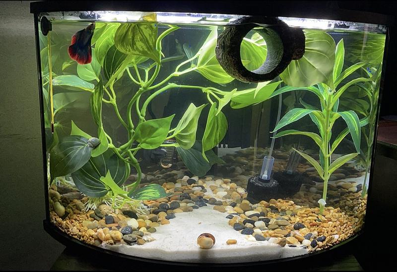 Top Fin Corner Tank Aquarium Starter Kit 6 Gallon