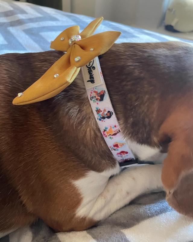 Sassy Woof Disney Princess Collar