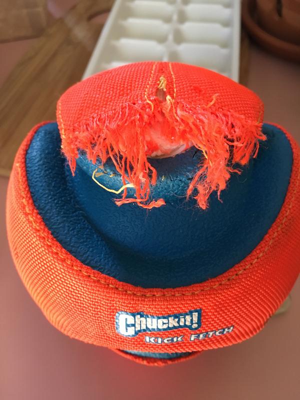 chuckit kick fetch toy ball large