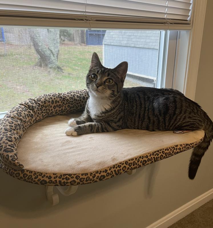 Kitty window sill cat bed hotsell