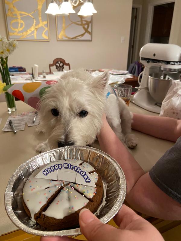 pup pie birthday cake