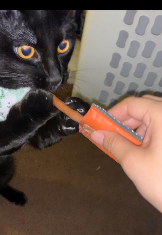 sheba cat treat sticks