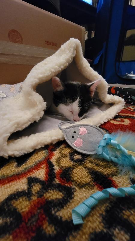 Whisker city crinkle sack clearance